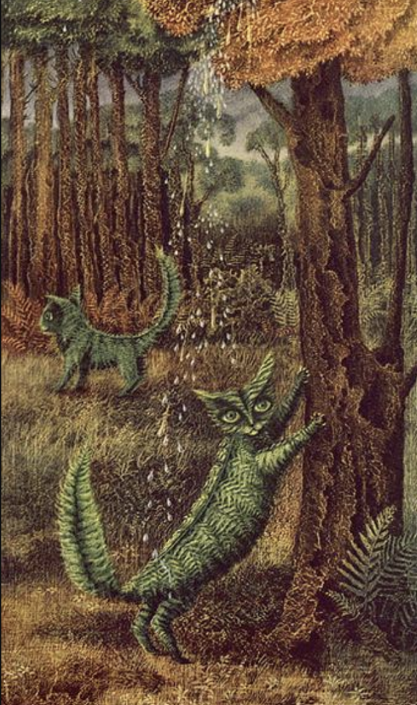 Fern Cats