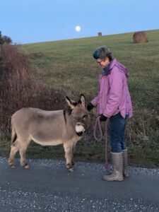 Little donkey and Lisa wth moon rising