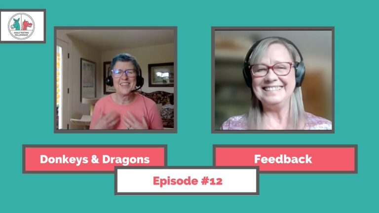 Lisa and Janet record an episode of their Donkeys & Dragons video chat