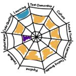 QPAM radar chart, looks like a spiderweb, with the 10 quality aspects as pie-shaped sections and dimensions as circular sections. 